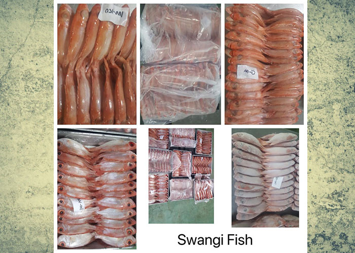 Swangi Fish